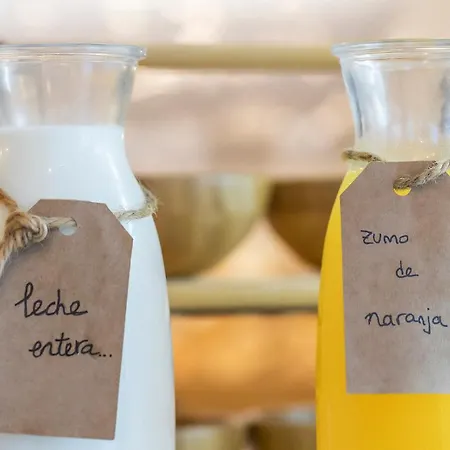 Alzocaire Boutique Pensión Conil De La Frontera